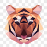 Tiga